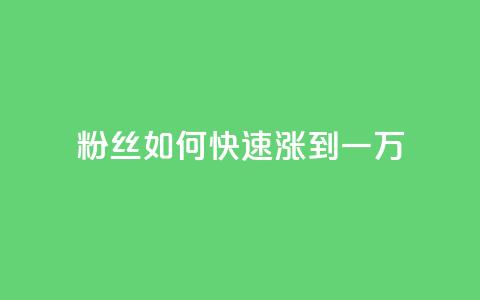 粉丝如何快速涨到一万,ks在线业务 - 哔站业务自助 dy低价下单平台最便宜 第1张 粉丝如何快速涨到一万,ks在线业务 - 哔站业务自助 dy低价下单平台最便宜 第1张