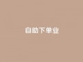ks自助下单业,卡盟自动下单入口 - 快手1元1万播放量软件 - 今日头条号购买渠道