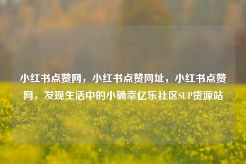 小红书点赞网，小红书点赞网址	，小红书点赞网，发现生活中的小确幸亿乐社区SUP货源站  第1张