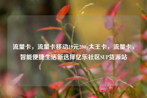 流量卡，流量卡移动19元200g大王卡	，流量卡，智能便捷生活新选择亿乐社区SUP货源站  第1张
